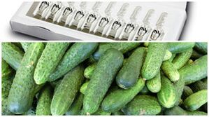 recipes for masks for hand skin rejuvenation